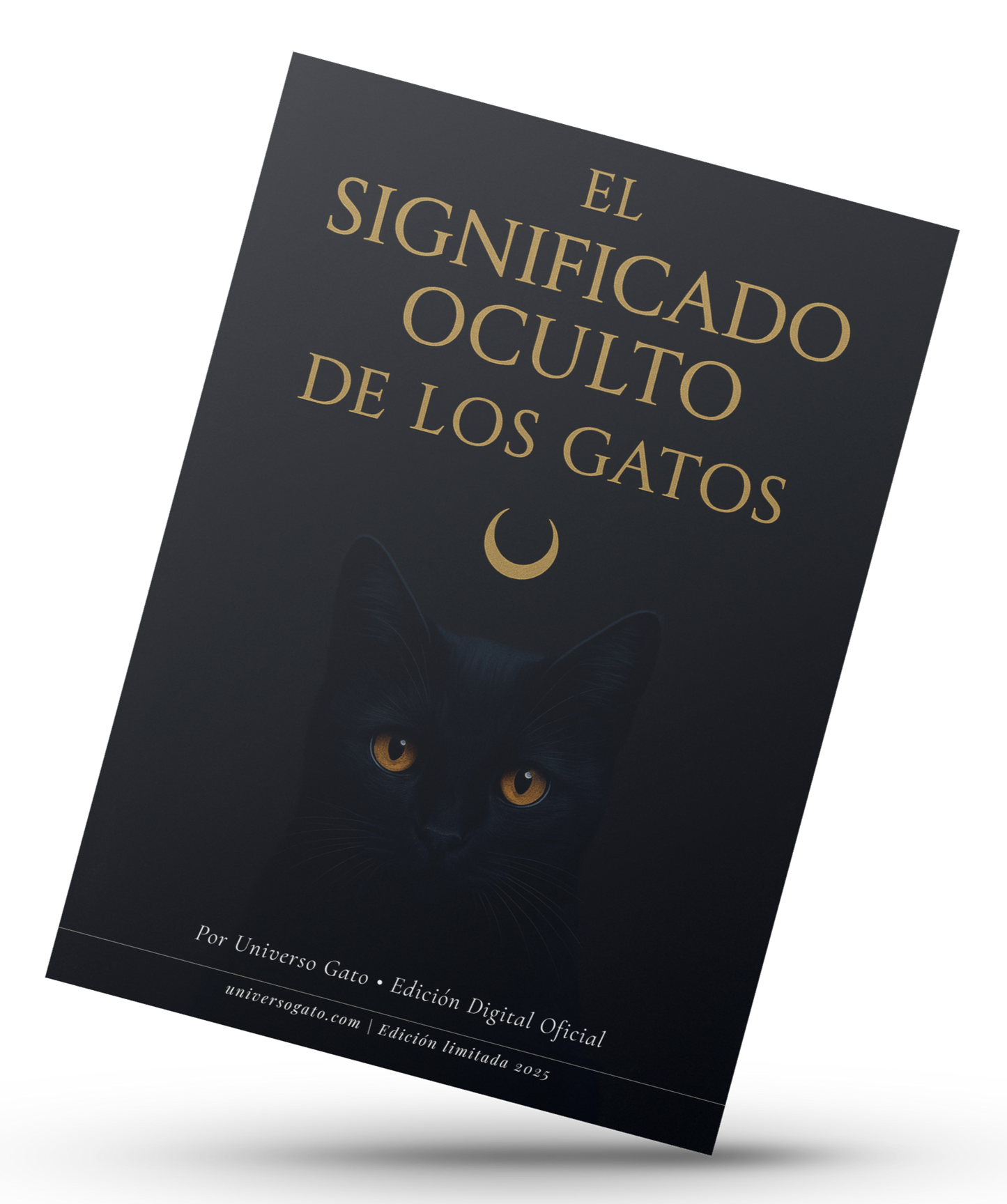 El significado oculto de los gatos